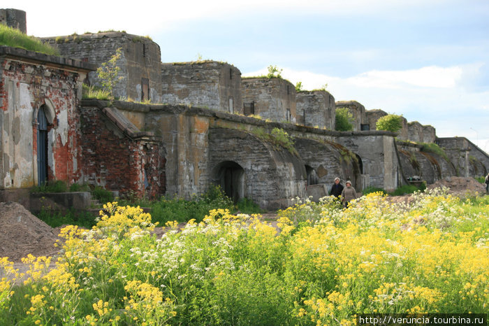 А вообще мне по душе больше такая живописная разруха. Место, в которое еще не успели набежать толпы туристов. Кронштадт, Россия А вообще мне по душе больше такая живописная разруха. Место, в которое еще не успели набежать толпы туристов. Кронштадт, Россия