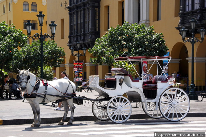 Конный экипаж Лима, Перу Конный экипаж Лима, Перу