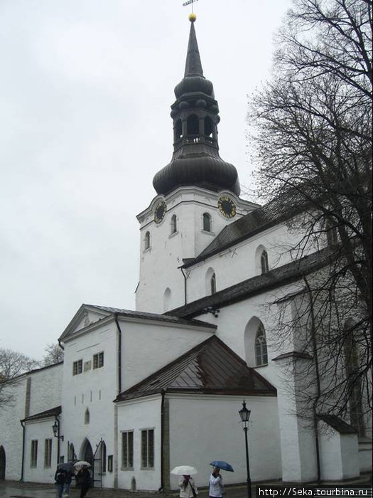 Домский собор Таллин, Эстония