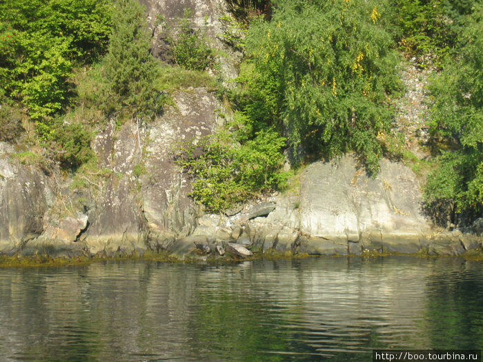в центре фото у воды греются на солнце тюлени. сейчас наведу zoom...... Гудванген, Норвегия