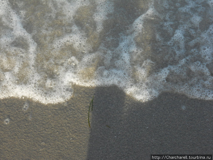 Вижу тень наискосок, рыжий берег с полоской ила Лос-Альказарес, Испания
