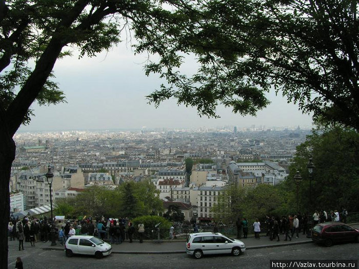 Взгляд из-под веток Париж, Франция