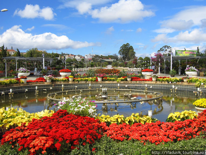 Парк цветов Далат, Вьетнам