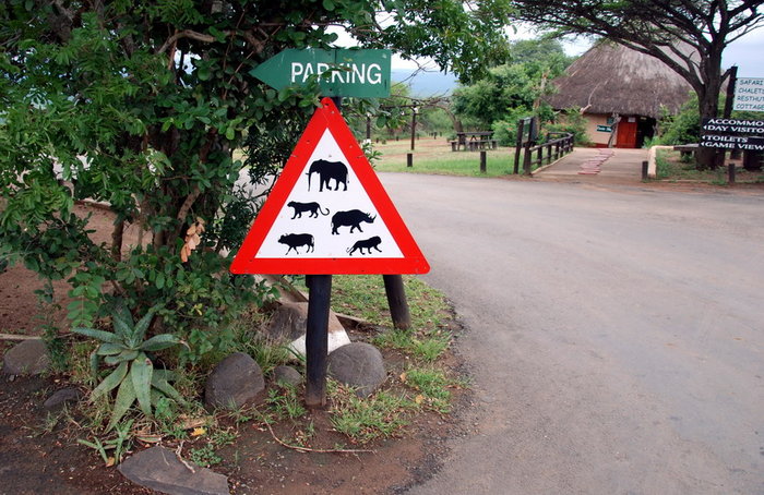 Самый старый парк в Южной Африке Шлушлуве-Умфолози Национальный Парк, ЮАР