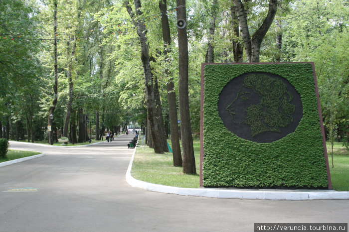 В городском парке  существует многолетняя традиция выкладывания из мха портрета А.С.Пушкина. Саранск, Россия