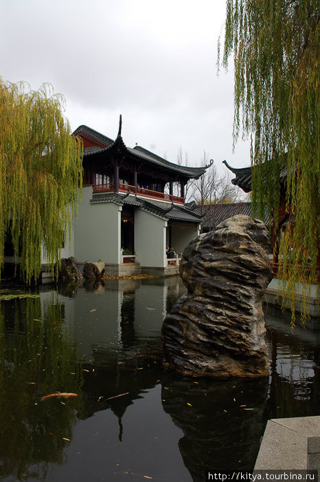 Китайский сад в Сиднее