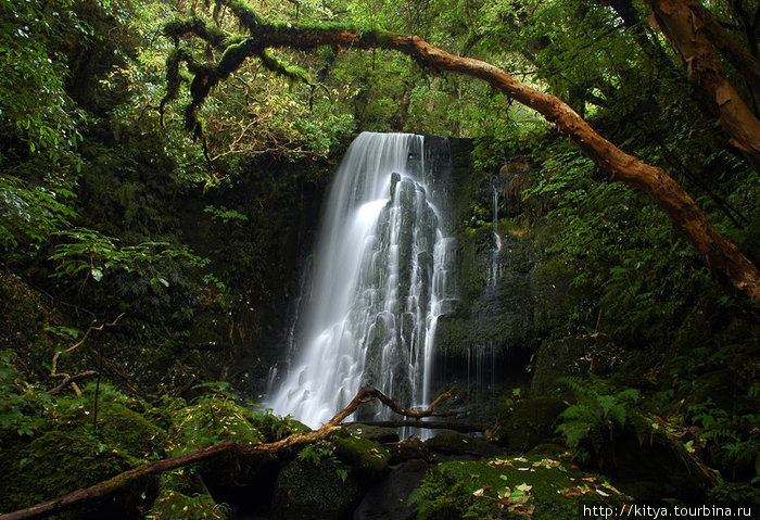 Водопад Матаи Кака-Пойнт, Новая Зеландия