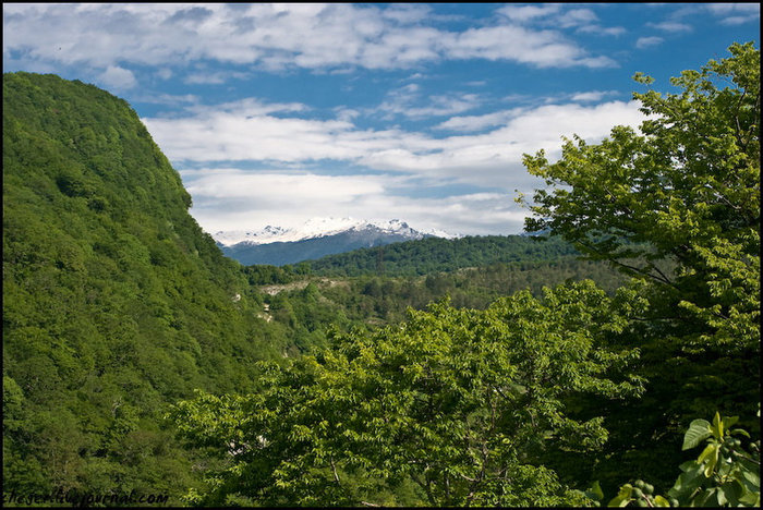 А там вдалеке белеют склоны Большого Кавказского Новый Афон, Абхазия