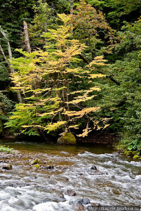Соункё: лучше гор могут быть только... водопады Национальный парк Дайсецудзан, Япония