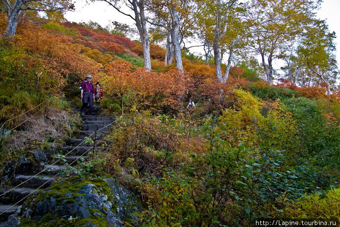 Японские пенсионеры-туристы спускаются с гор Национальный парк Дайсецудзан, Япония