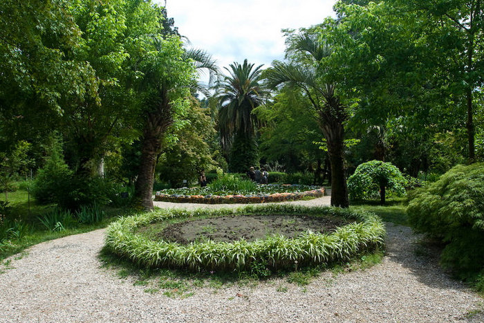 Сухумский ботанический сад Сухум, Абхазия