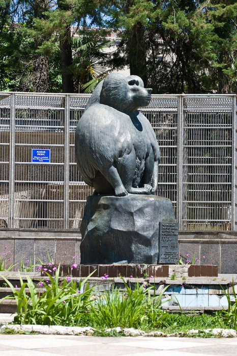 Единственный в мире памятник обезьяне — и есть за что! Сухум, Абхазия