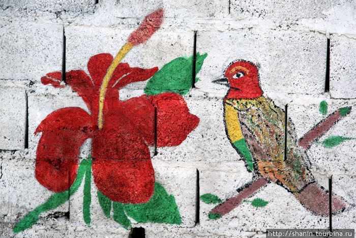 Рисунок на стене Виктория, Гренада