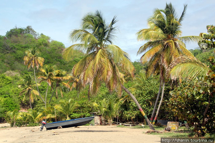 Лодка и пальмы Сотерс, Гренада