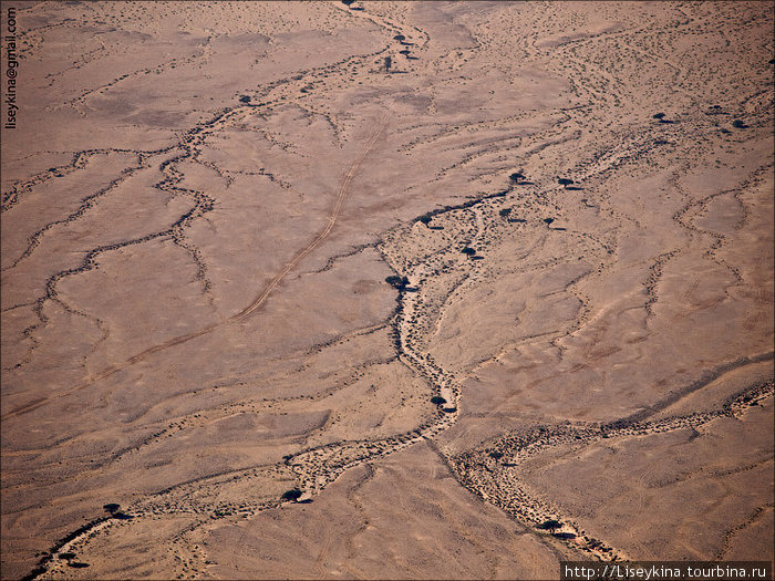Оазис в пустыне и смая высокая гора ОАЭ Аль-Айн (Аль-Хили), ОАЭ