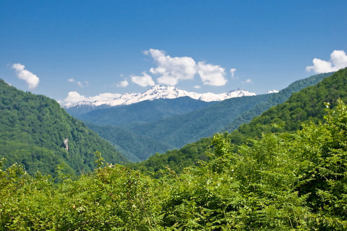 Большой Кавказский хребет ещзё весь в снегу — поэтому реки щас на максимальном уровне Псху-Гумиста Заповедник, Абхазия