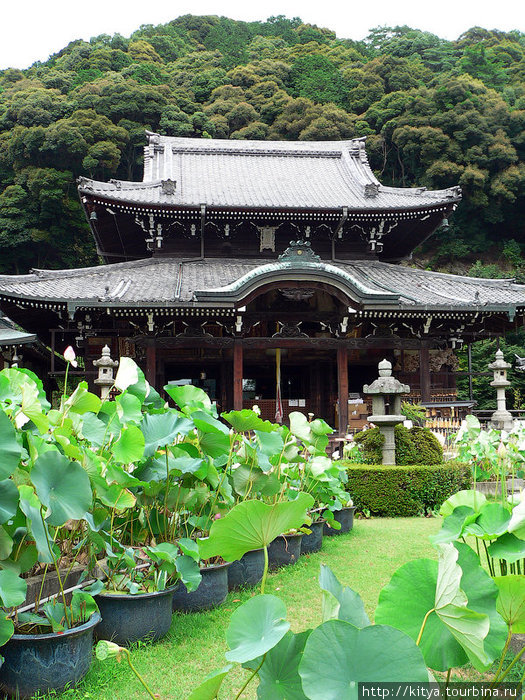 Мимурододзи храмовый комплекс / Mimurodoji temple