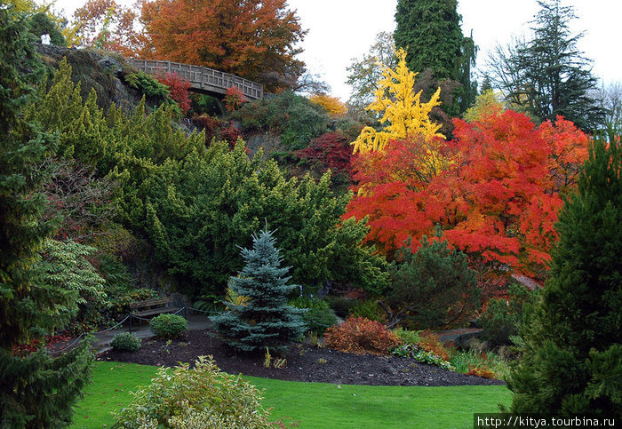 Весна и осень в Парке Королевы Елизаветы Ванкувер, Канада