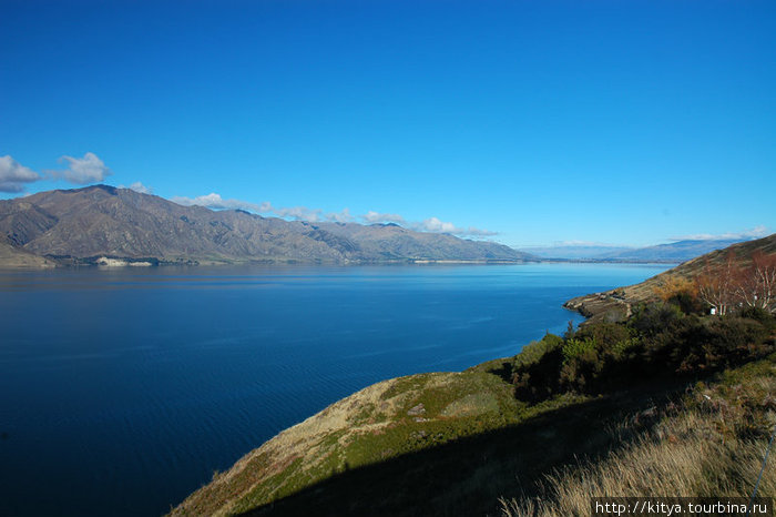На берегу озера Хоея. Ванака, Новая Зеландия