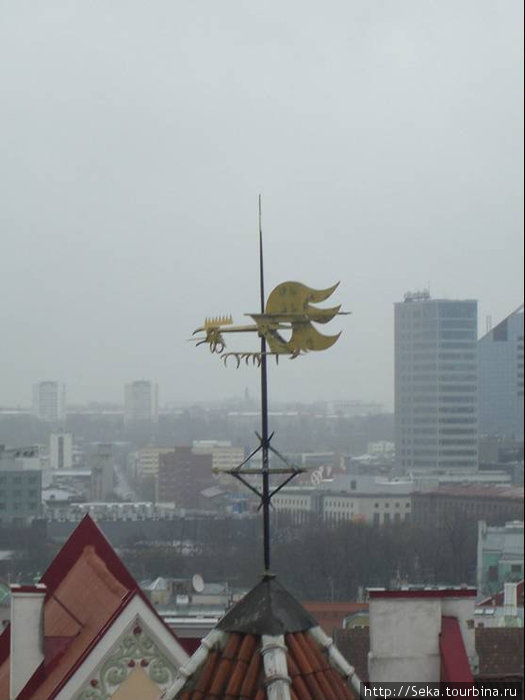 Таллин со смотровой площадки Таллин, Эстония