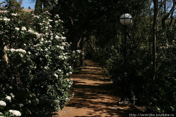 Сады Альгамбры Гранада, Испания