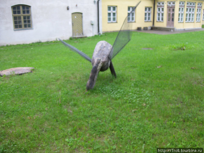Неизвестный зверь, пасущийся на лужайке Таллин, Эстония