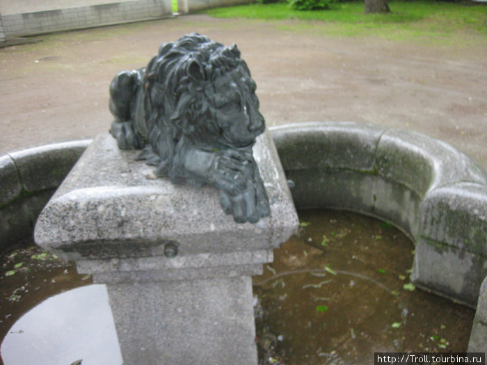 Посреди фонтана уютно устроился лев Таллин, Эстония