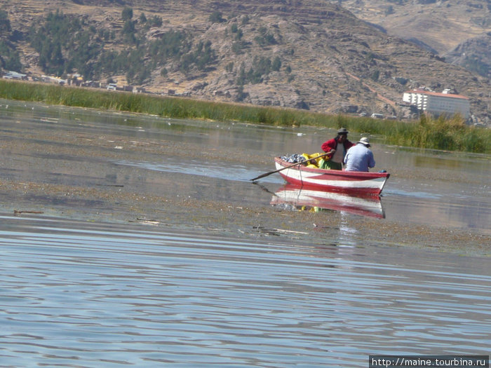На Титикака на веслах в основном женщины.Мужщины вяжут или думают в это время,как жить дальше.
