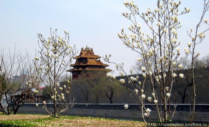 Эти стены охраняют Запретный город Пекин, Китай