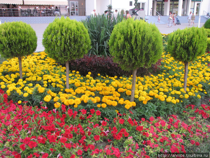 Цветочный сквер Геленджик, Россия