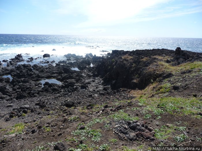 Остров Пасхи - песчинка в сердце Тихого океана Остров Пасхи, Чили