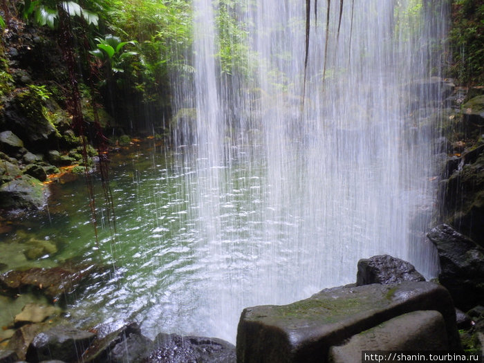 Изумрудный водопад — визитная карточка Доминики Округ Сент-Джордж, Доминика