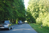 Дорога на Зеленоградск — один из двух главных курортов региона. Две полосы, деревья по обочине и плотный поток машин под 100 км/ч