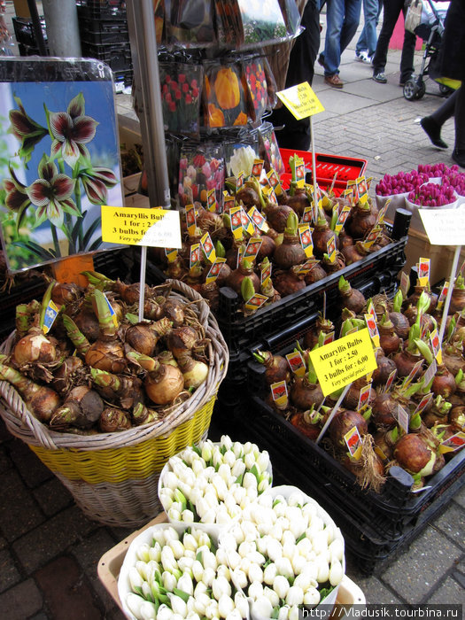 Цветочный рынок Амстердам, Нидерланды