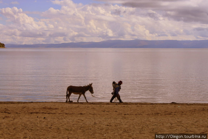 За плечами дитя, позади осёл- Променад по берегу озера Исла-дель-Сол, Боливия