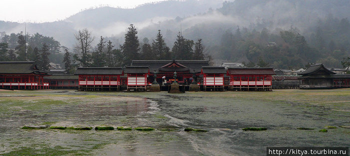 Вид на святилище Ицукусима со стороны ворот-тории. Отлив. Миядзима, Япония