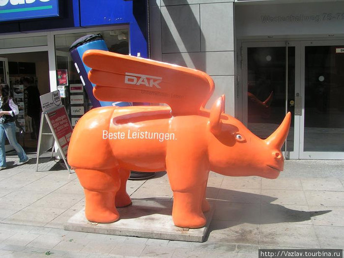 Рыжий носорог Земля Северный Рейн-Вестфалия, Германия