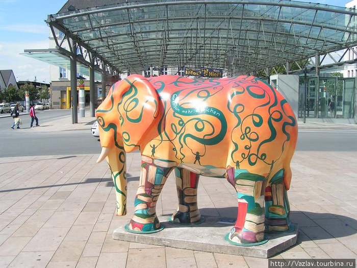 Странный слонёнок Земля Северный Рейн-Вестфалия, Германия