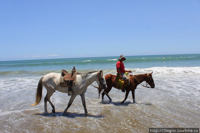 По длинному пляжу можно прокатиться на скакунах Перу