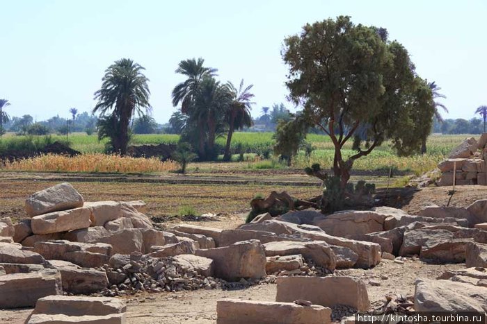 граница оазиса и пустыни в Рамессеуме Луксор, Египет
