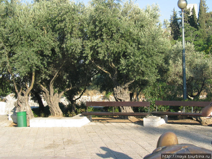парк Блумфельд Иерусалим, Израиль