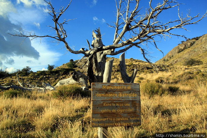 Мир без виз — 125. У знаменитой горы Лос-Гласьярес Национальный парк, Аргентина