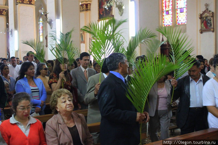 У каждого в руке по пальмовой ветке Санта-Ана-де-лос-Риос-де-Куэнка, Эквадор
