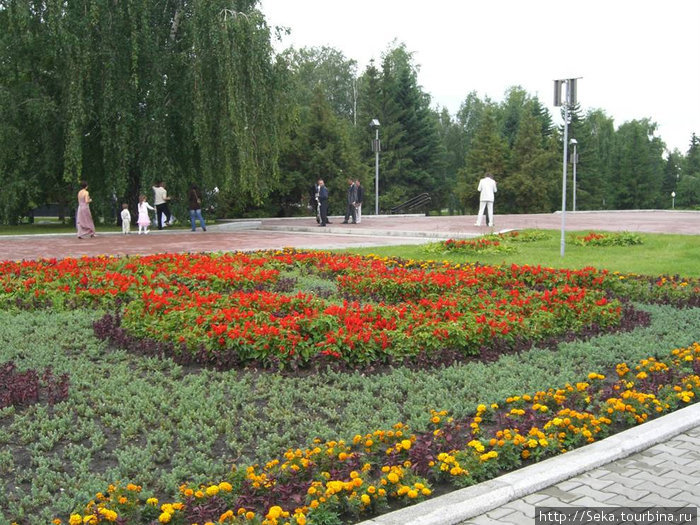 Цветами выложена цифра 65 Барнаул, Россия