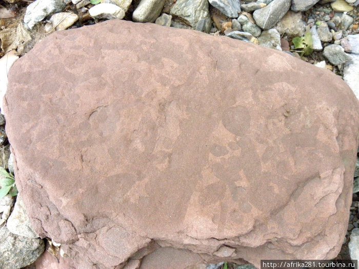 Фрагмент тоже чего-то окаменевшего. Похоже — застывшая лава с отпечатками листвы первобытного леса Ширкент Историко-Природный Парк, Таджикистан