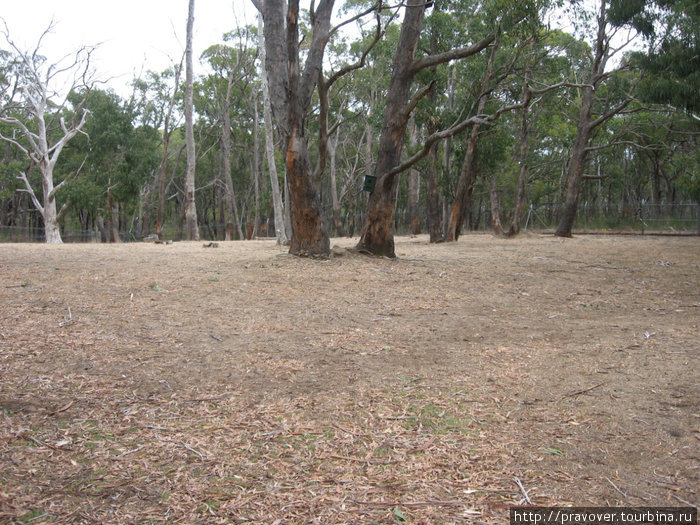Cleland Wildlife Park Аделаида, Австралия
