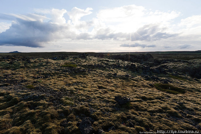 Вулканические поля покрыты мхом Столичный регион, Исландия