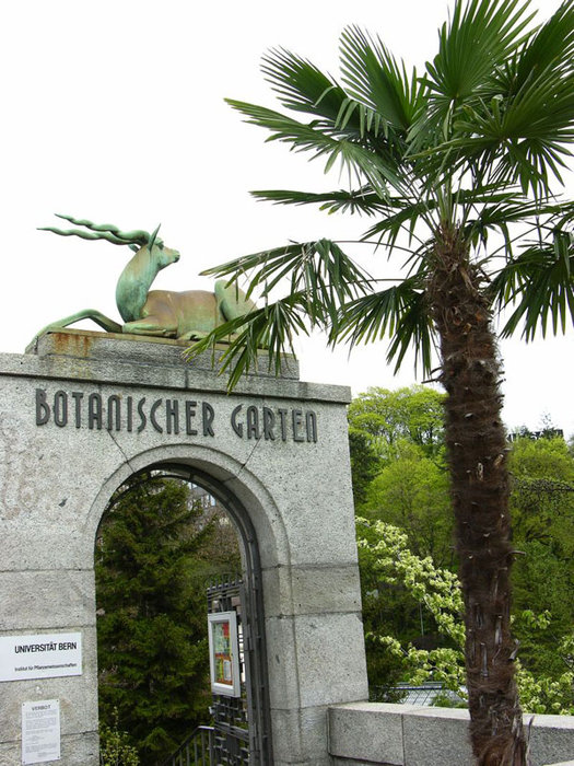 Ботанический сад / Botanischer Garten Bern