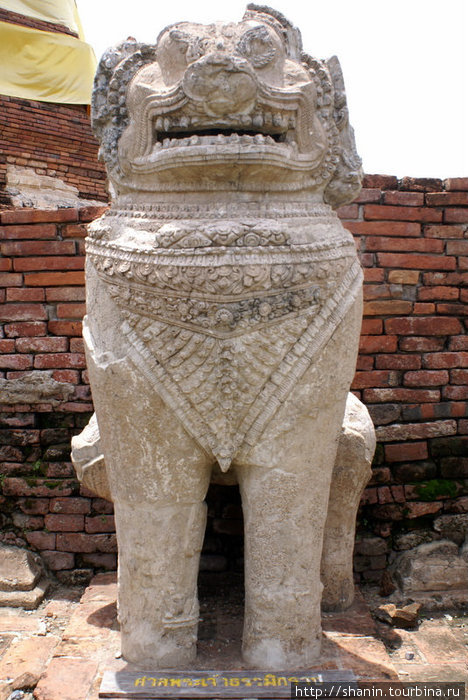 Каменный лев Аюттхая, Таиланд