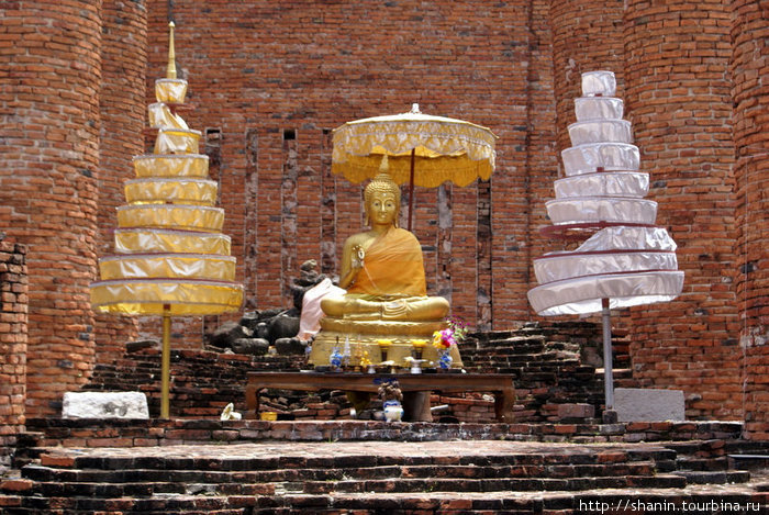 Будда у кирпичной стены Аюттхая, Таиланд